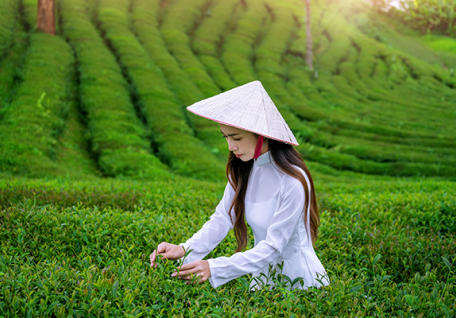 Top 5 điểm cắm trại lý tưởng cho các cặp đôi đang yêu nhau