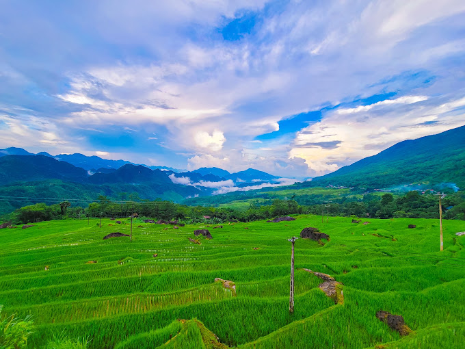 Giới thiệu