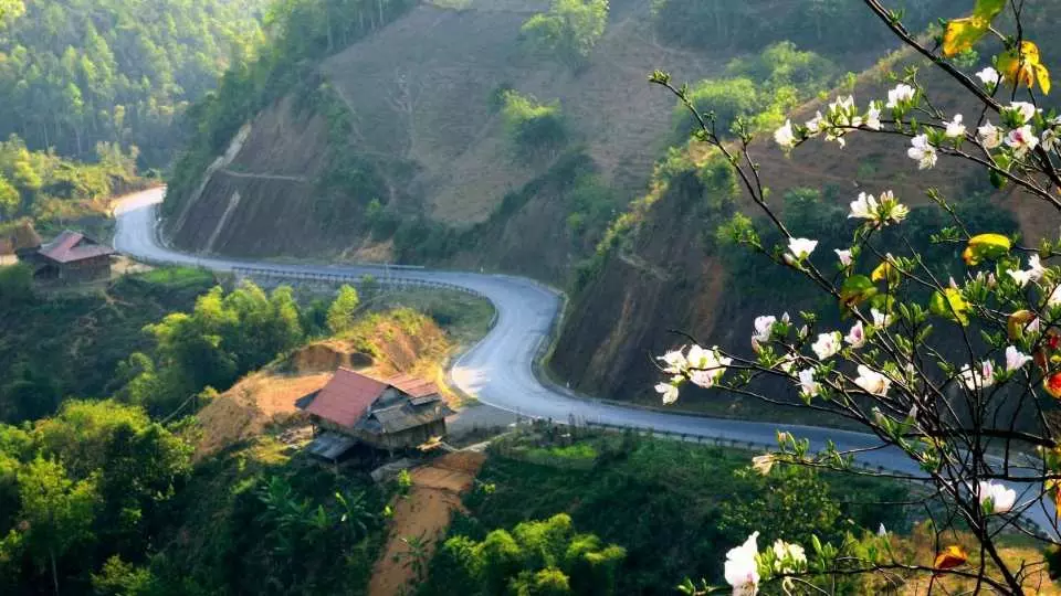 Giới thiệu