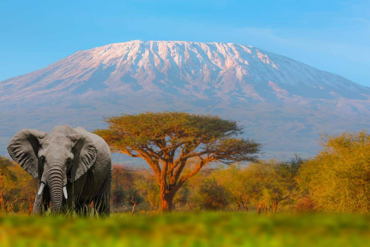 TANZANIA – KENYA
